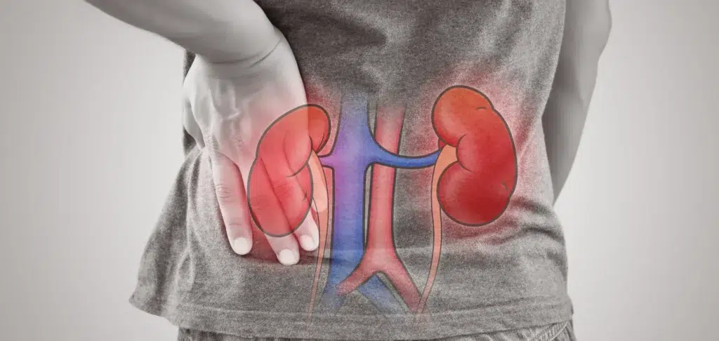 Your-paragraph-text--286-29-1920w Your paragraph text 286 29 1920w